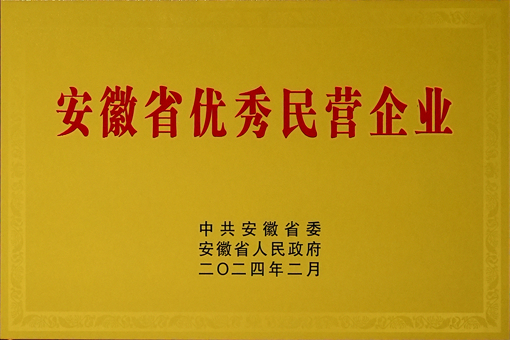 安徽省新春**會(huì)，豪家股份榮獲“安徽省百名優(yōu)秀民營(yíng)企業(yè)”稱號(hào)